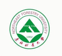 东北林业大学自考专本学历一年半毕业简单好考学信可查