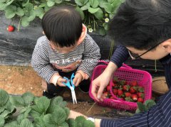 深圳农家乐财货野炊自己动手做饭的地方