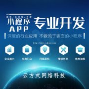 政务app开发有什么意义呢?政务app开发方案如何？