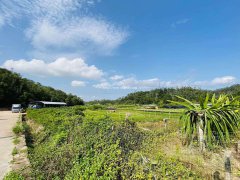 人间四月天深圳龙岗周边踏青一日游野炊烧烤好去处