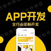 开发短视频APP的价格