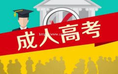 学历提升，技能培训，全程vip服务