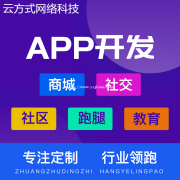 APP开发APP系统开发