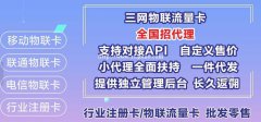 流量卡 物联卡 纯流量卡 行业卡代理招商，低投入持续被动收入