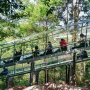 景区上山便捷电梯乘坐方式 湖南景点七彩云梯安装