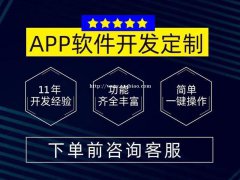 租车APP开发的功能