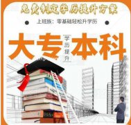 北大方正软件技术职业学院专科传播与策划专业招生 考前重点辅导