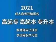 成人高考  学历提升