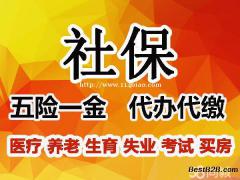 社保代缴办理 专注企业个人社保办理