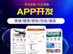 开发一款鉴定APP需要多少钱呢？