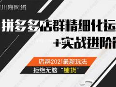 陕西拼多多无货源店群项目，新手开店操作流程，精细化爆单思绪