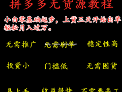 2021拼多多无货源网店运营教学软件贴牌代理工作室招商加盟