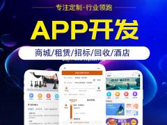 如何找比较有实力的软件开发公司