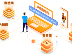 湖南长沙快马电商平台  小程序  线上商城  网上订货平台