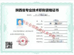 关于2021年陕西省工程师职称评定工作详情