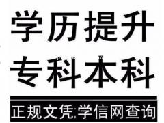 北京学历培训自考本科公共事业管理专业招生学位稳妥