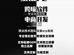 亚马逊ERP无货源采集系统跨境ERP电商铺货系统