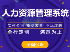 人力资源管理系统开发，人力资源管理系统定向开发企业