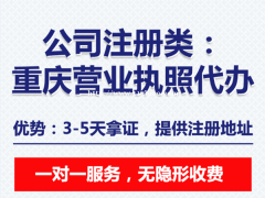 南岸弹子石公司变更办理 个体执照注销代办