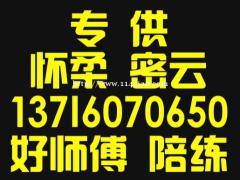 密云怀柔汽车陪练中心电话