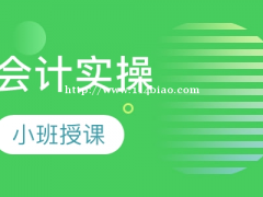 仪征会计做账实操 编制财务报表 网上报税