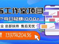 金小指工作室加盟项目数据回收日结