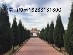 石家庄2021年寒衣节墓地价格