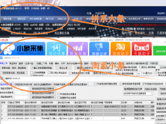 拼多多店群软件，采集上货拍单转链一体软件，后台代理加盟