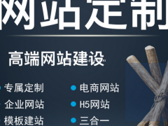 网站定制开发，网站建设，专业网站开发高端定制