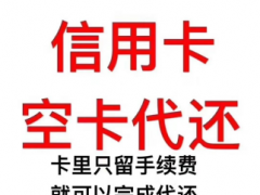 专业代还软件开发公司 线下精养卡系统定制