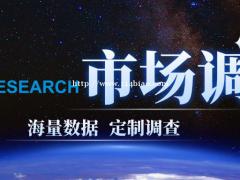 2022-2028全球与中国电动执行阀门市场现状及未来发展趋