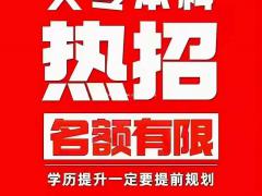 大专本科学特价名额仅限10个学信网可查