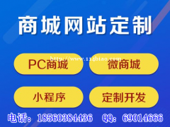 电商商城定制开发，商城系统开发，商城网站建设量身定制开发