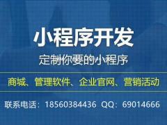 定制小程序开发，小程序定制，商城小程序量身定制开发