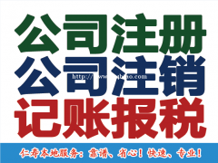 公司注册 代理记账报税