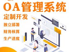 OA管理系统定制开发OA管理软件开发OA系统开发定制OA软件