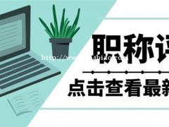 2022年陕西省初中高级工程师职称申报新规定介绍