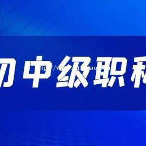 准备申报2022年的湖北省中级工程师职称，初级职称你们有吗？