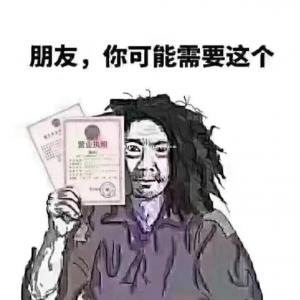 执照专业办理