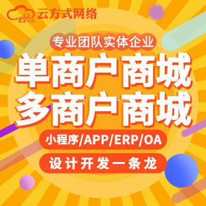 商城APP专业定制开发 商城APP专业定制开发团队