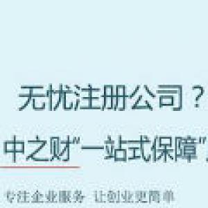 宜春专业代办公司执照，分公司注册，分公司注销代办