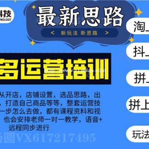 无货源店群软件加盟，淘上拼突破加价一键上下架，抖上拼赚佣金玩法