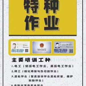 乌鲁木齐人力资源报名咨询