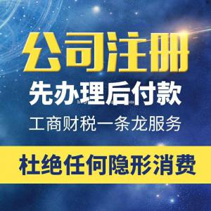 嘉兴公司注册 公司注销代办 会计做账许可证办理