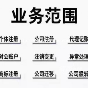 记账记账、注销公司、代理记账报税专业咨询财税服务、申办一般纳税人、税控代办+票种核定