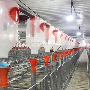 养猪场自动化育肥母猪料线