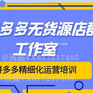 拼多多一键铺货软件，拼上拼中转仓玩法，淘上拼自然流量玩法加盟