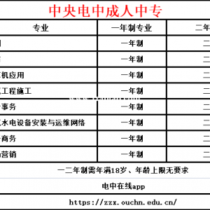 2023年湖北电大中专有用吗？沙特说