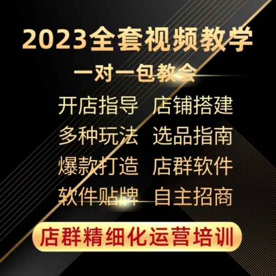 拼多多软件代理，拼多多无货源模式加盟，工作室店群精细化培训