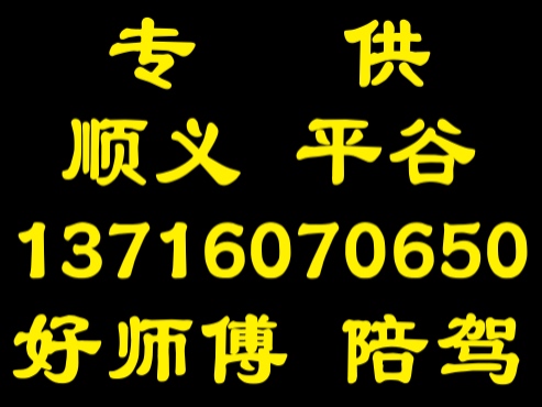 顺义平谷好师傅汽车陪练公司